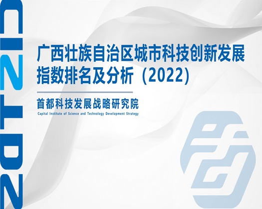 操逼看1区【成果发布】广西壮族自治区城市科技创新发展指数排名及分析（2022）